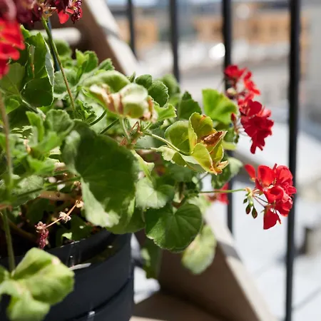 White Door Mansard Heart Of 2 Διαμέρισμα Οδησσός