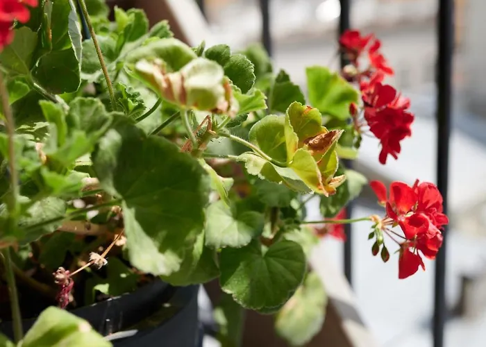 White Door Mansard Heart Of 2 Διαμέρισμα Οδησσός